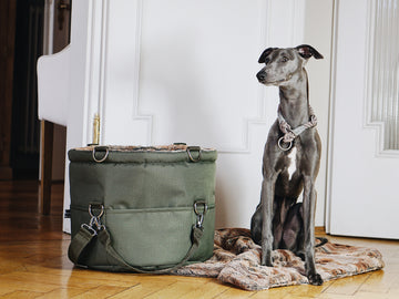 Isarhund