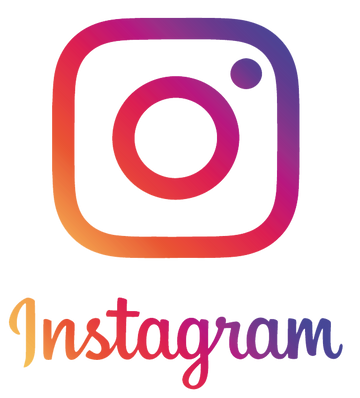 Die Welt der Isarhunde auf Instagram