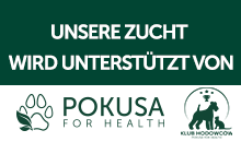 Gesunde Mütter = Gesunde Welpen