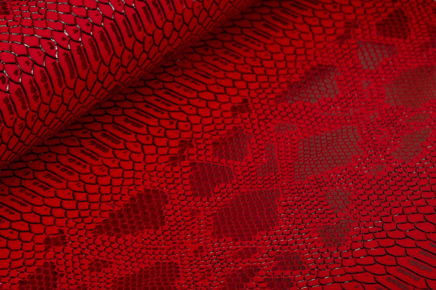 Crocodile red