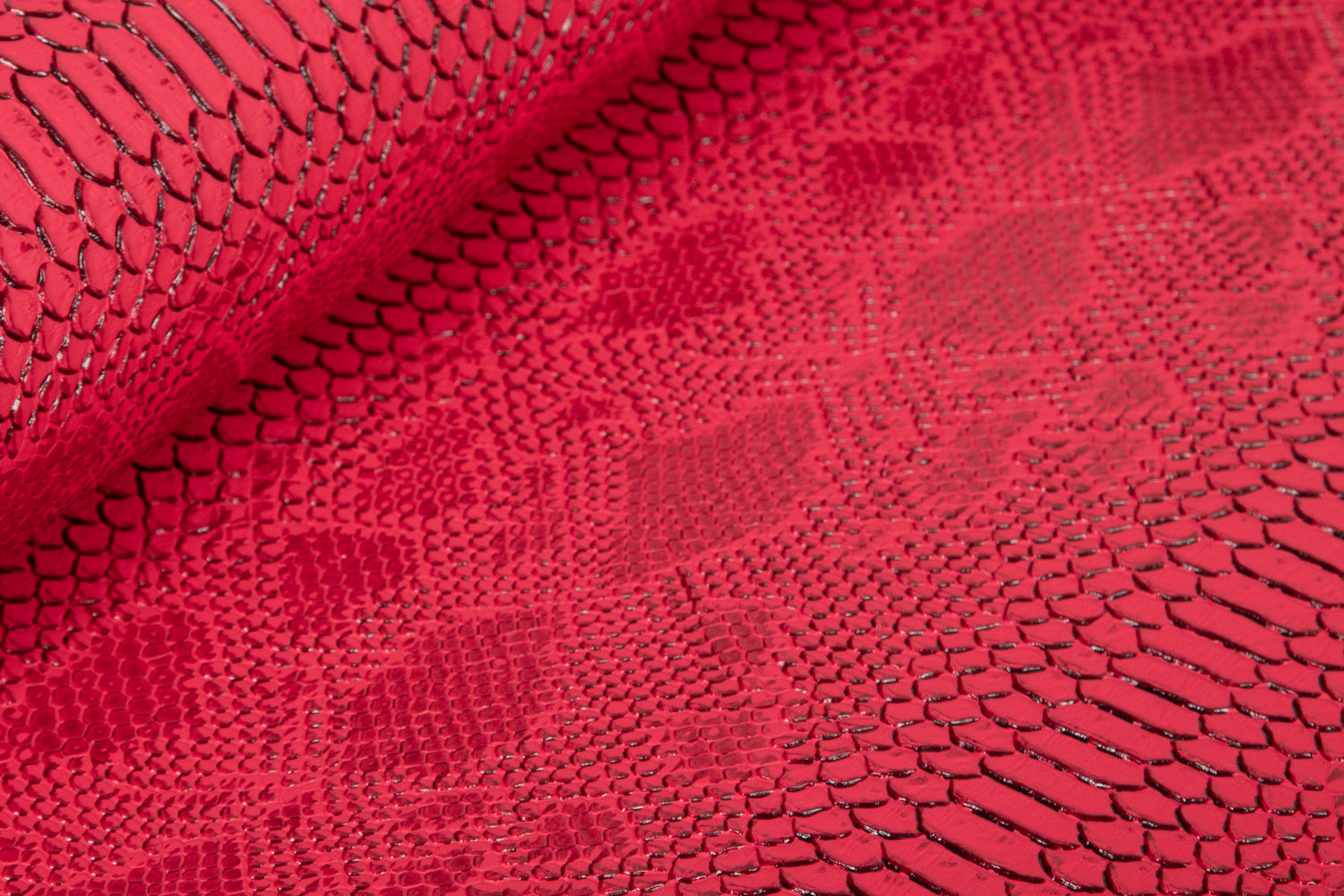 Crocodile pink