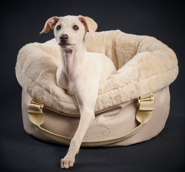 Das Herzstück jedes Isarhund Windspiels